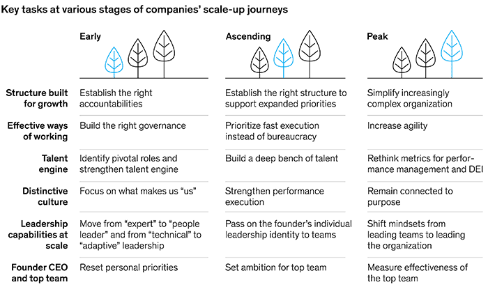 McKinsey table of key tasks across scale-up stages (early, ascending, peak) for structure built for growth, effective ways of working, the talent engine, distinctive culture, leadership capabilities at scale, and the founder CEO and top team, progressing from establishing accountabilities and governance to simplifying a complex organization and measuring top-team effectiveness.
