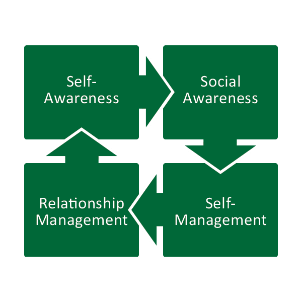 Emotional intelligence framework showing four connected domains: self-awareness, social awareness, self-management, and relationship management.